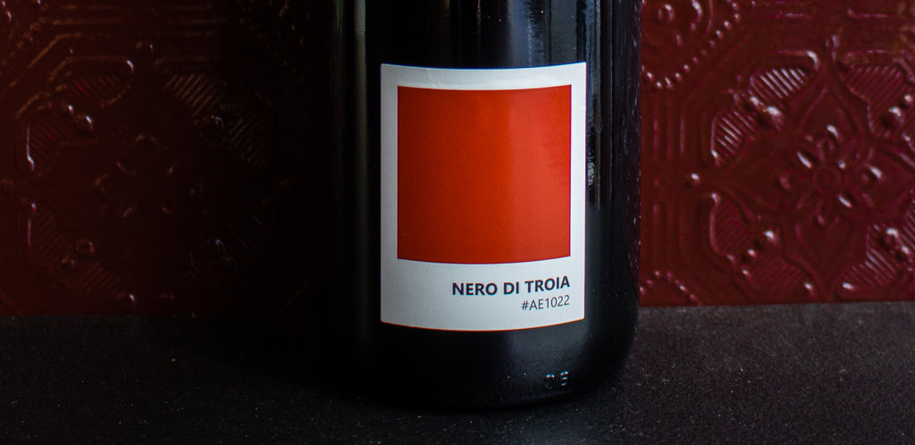 Nero Di Troia - Tenuta Demaio - 2020